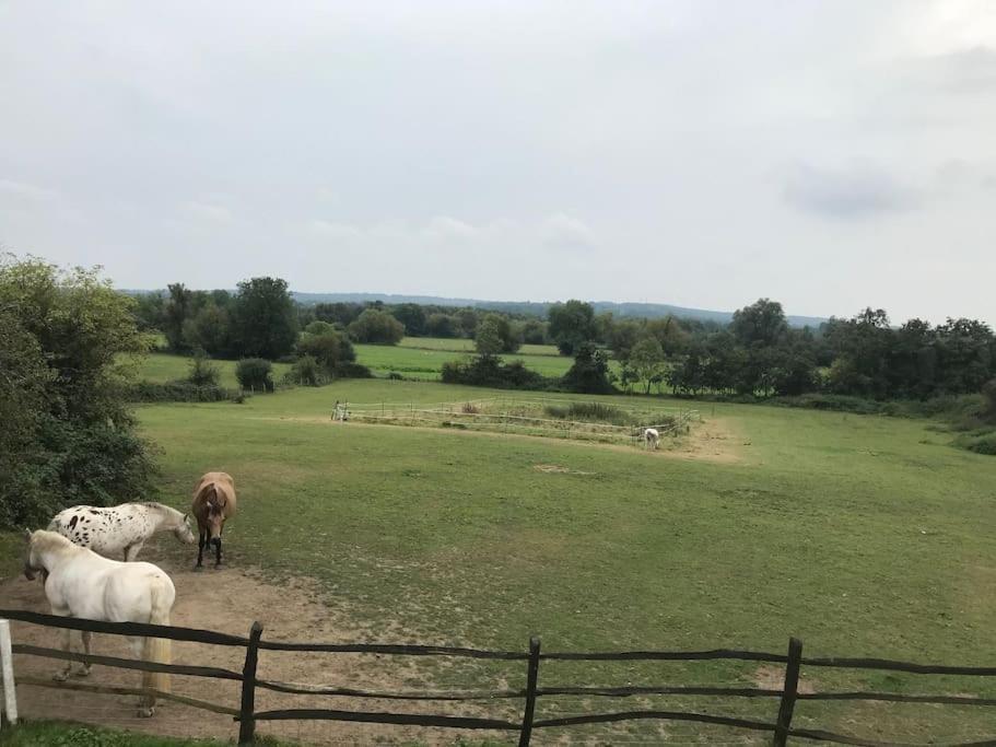 Lovely Kent Cottage With Rural Medway Views Tonbridge Bagian luar foto